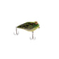 Rebel Frog R