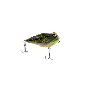 Rebel Frog R