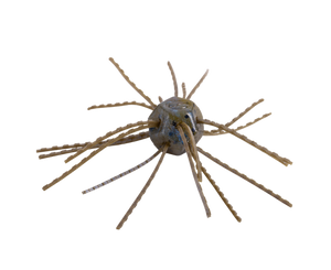 Strike King Tumbleweed - Floating