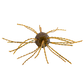 Strike King Tumbleweed - Floating