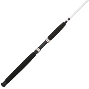 Berkley Big Game Spinning Rod