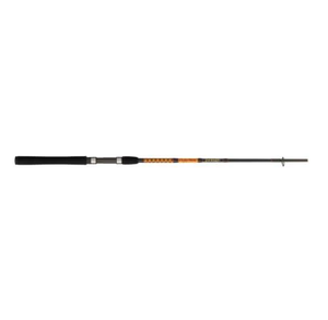 Catfish Special Spinning Rod