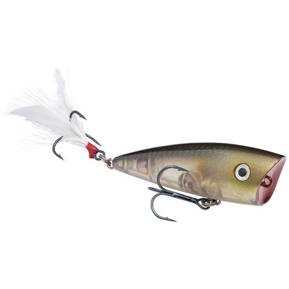 Strike King KVD Splash Jr Topwater