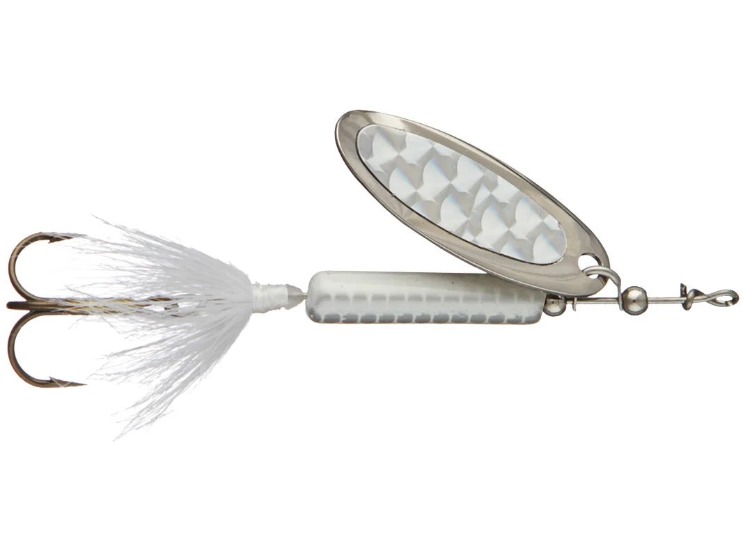 bang tail fishing lure Bang Tail