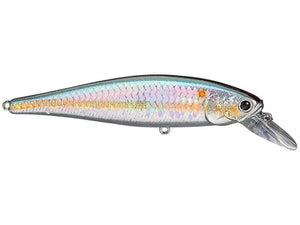 Pointer 100 SP
