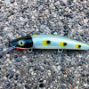 Blue Water Baits 9" Cisco - Blue Frog Pearl Belly