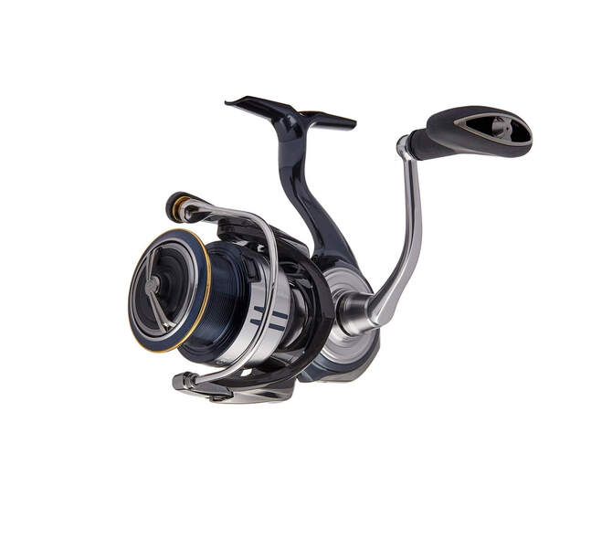 Load image into Gallery viewer, Certate Lt Spinning Reel
