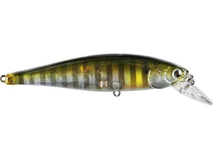Pointer 100 SP