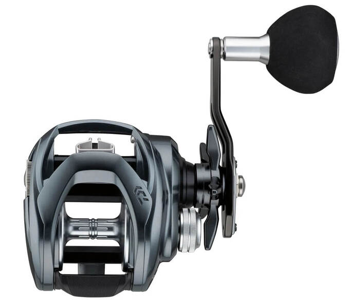 Daiwa Lexa TW Baitcaster Reel