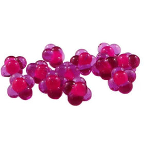 Embryo Egg Cluster