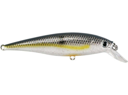 Pointer 100 SP