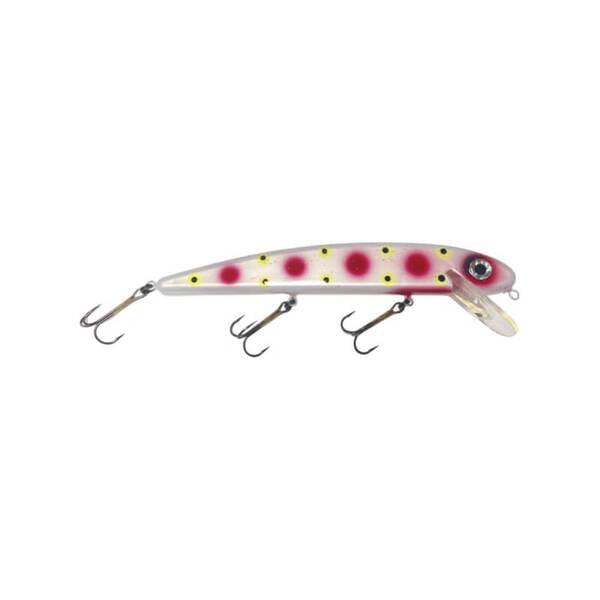 Load image into Gallery viewer, Yaleye-Fish Lures 8&quot; Jake Musky Bait
