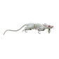 Savage Gear 11.75" 3D Rad Rat